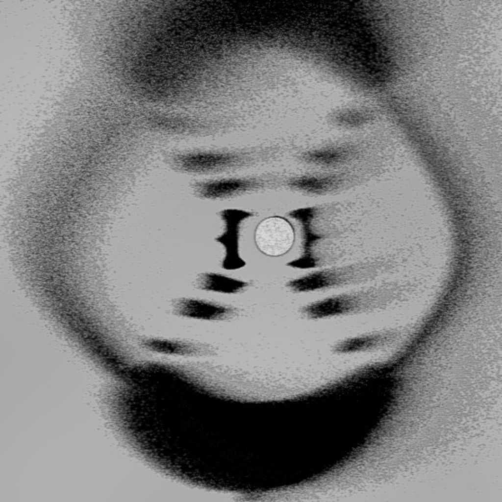 Fake DNA X-ray Diffraction by Rosalind Franklin preview image 1